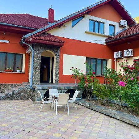 Pensiunea Orhideea Băile Herculane Extérieur photo