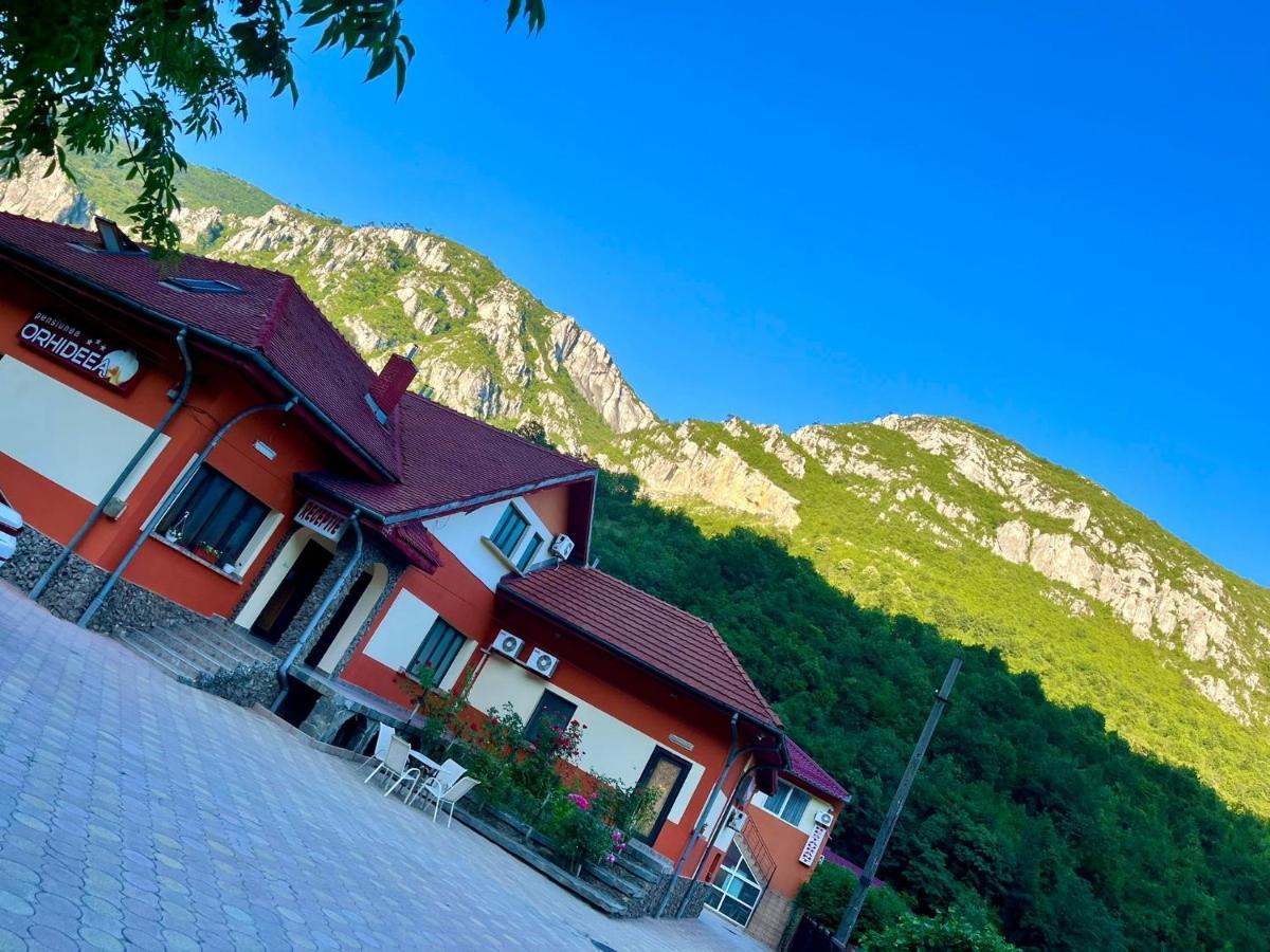Pensiunea Orhideea Băile Herculane Extérieur photo