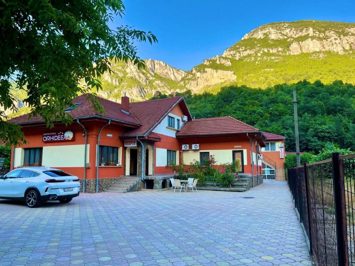 Pensiunea Orhideea Băile Herculane Extérieur photo