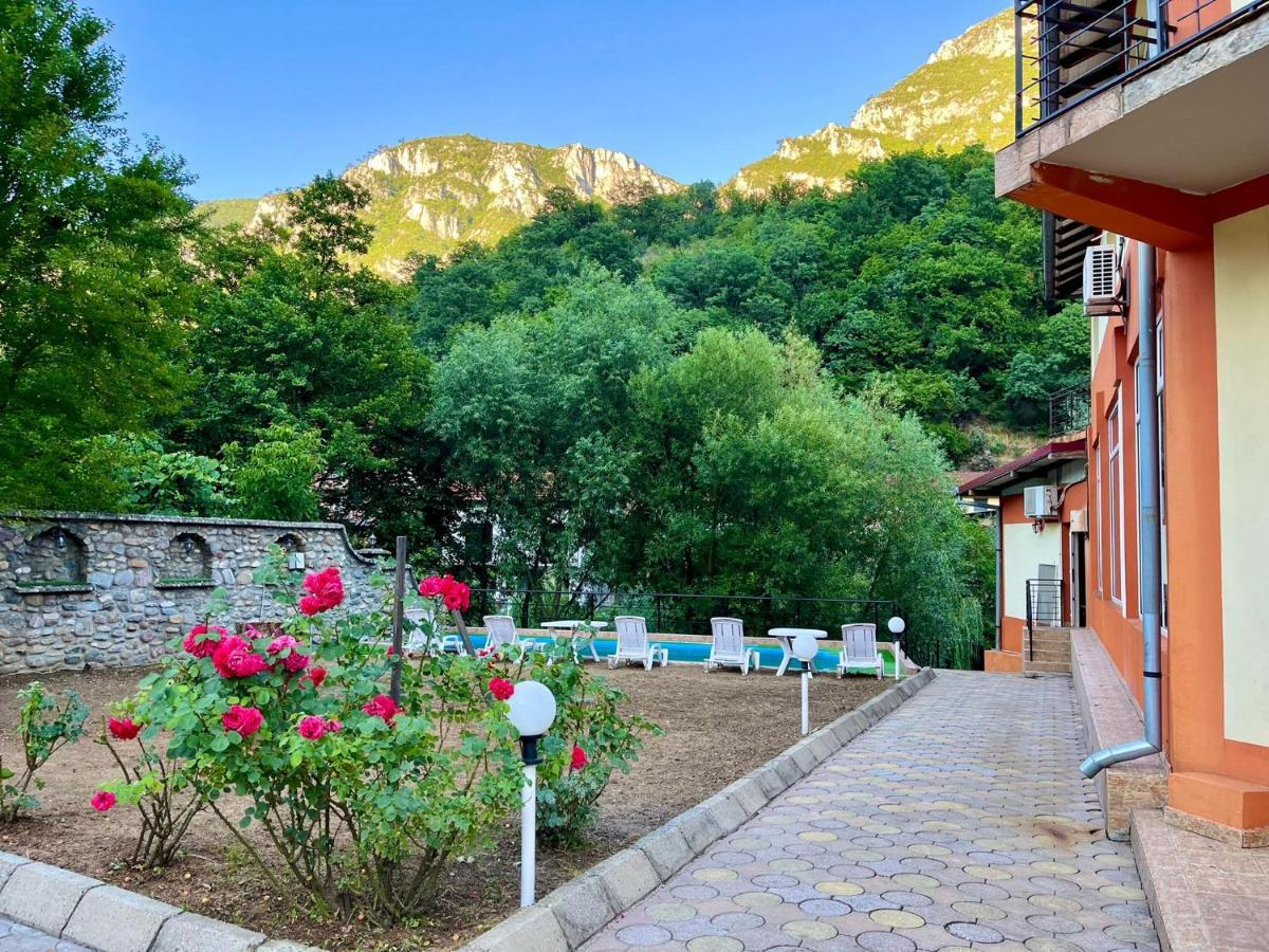 Pensiunea Orhideea Băile Herculane Extérieur photo